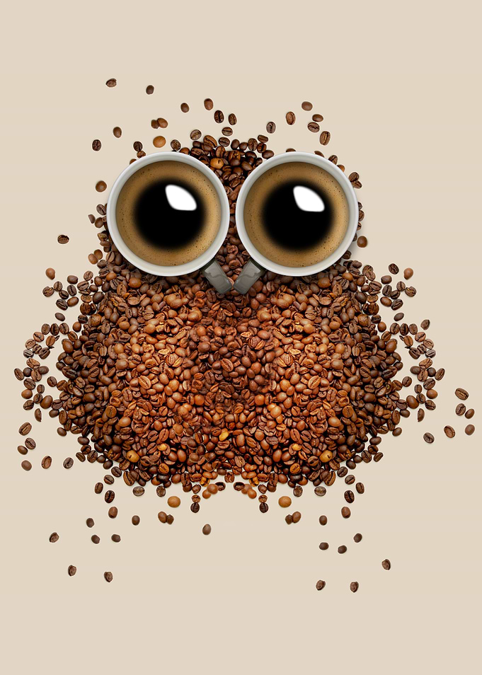 Coffee Bean Owl with Coffee Cup Eyes