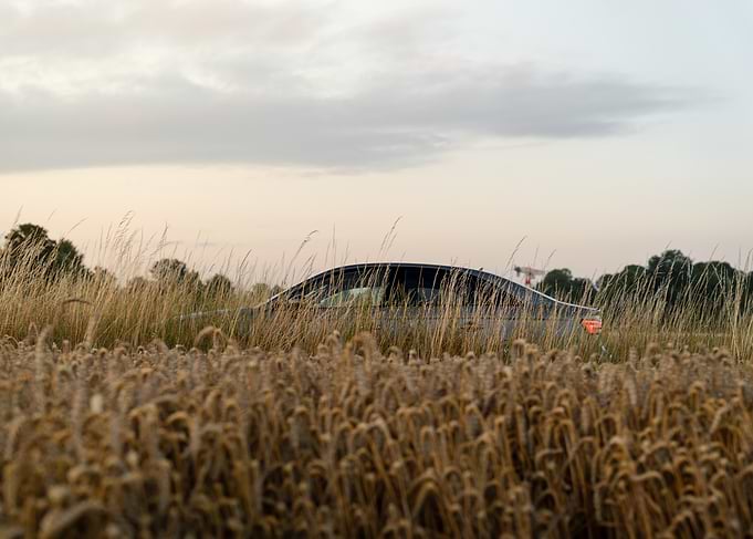RS3 8V Sedan in a wheat field