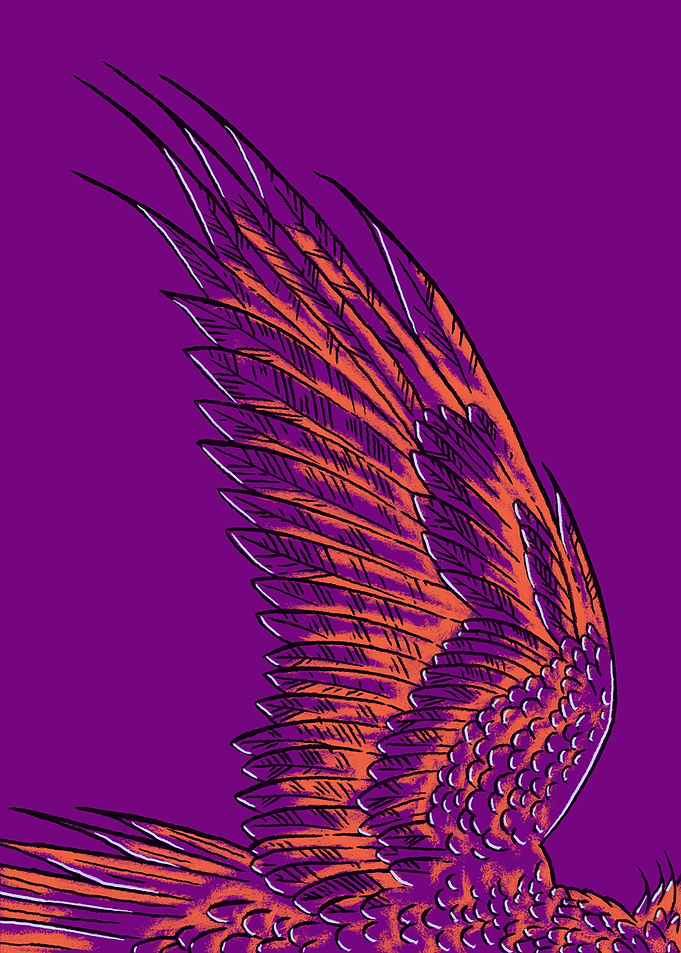 The Wing of a Phoenix