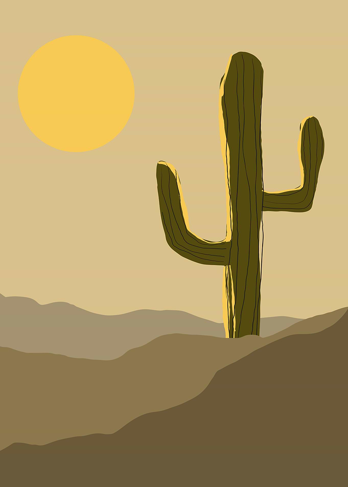 Desert Landscape with Cactus and Sun