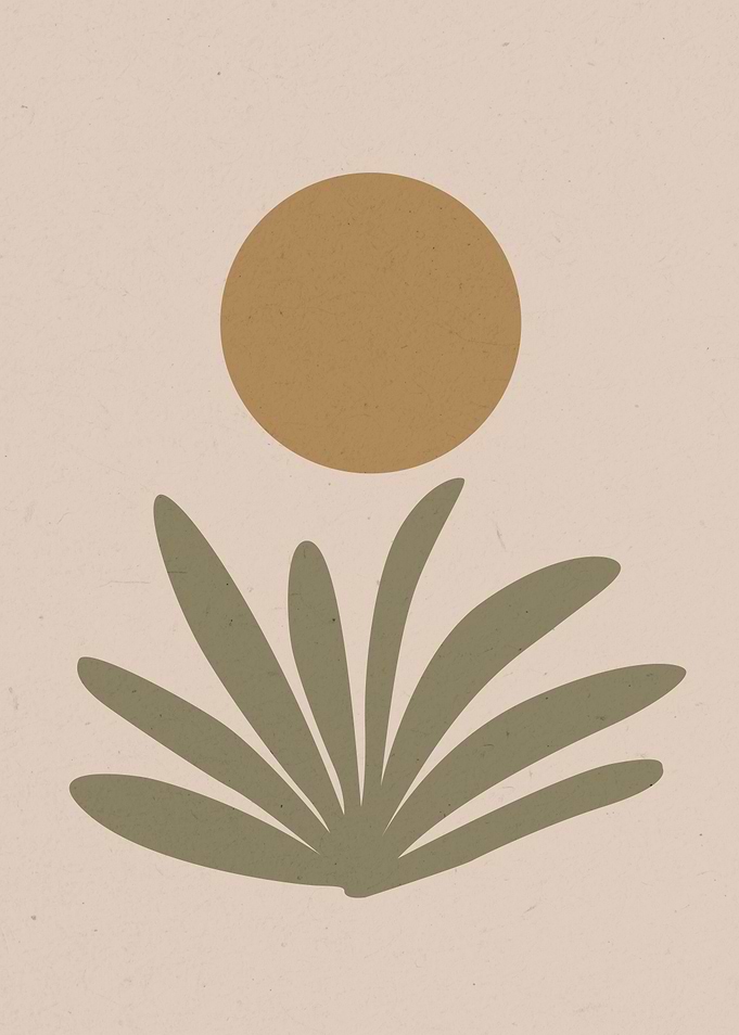 Boho art Sun and Plant