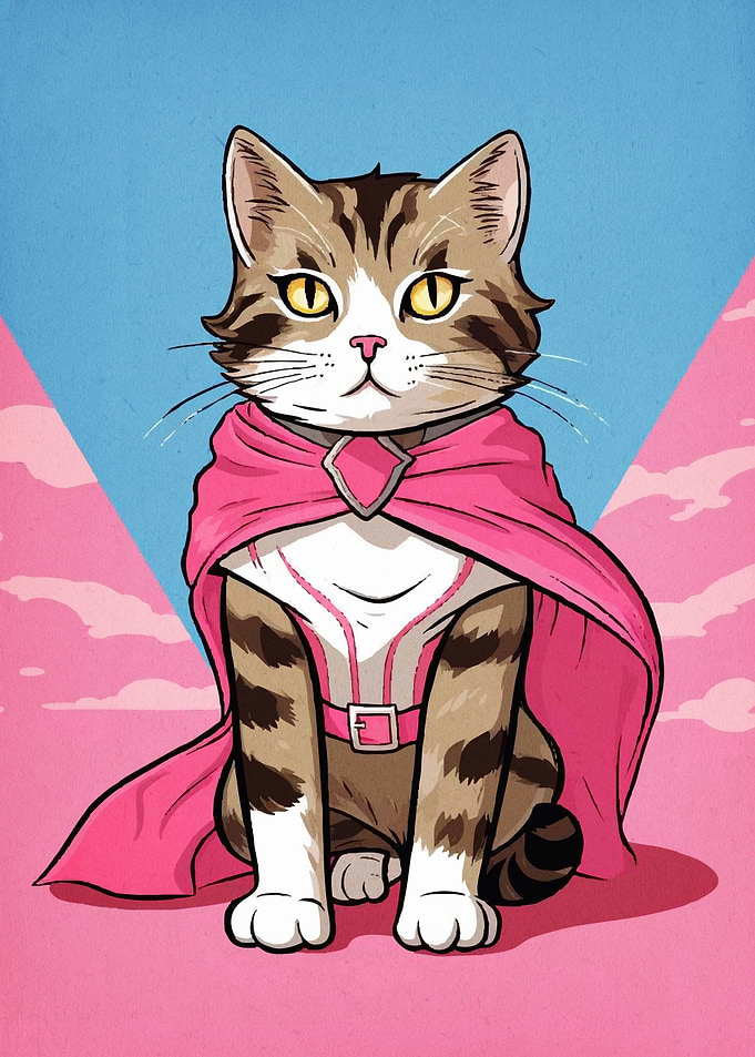 Super Cat Hero Cartoon