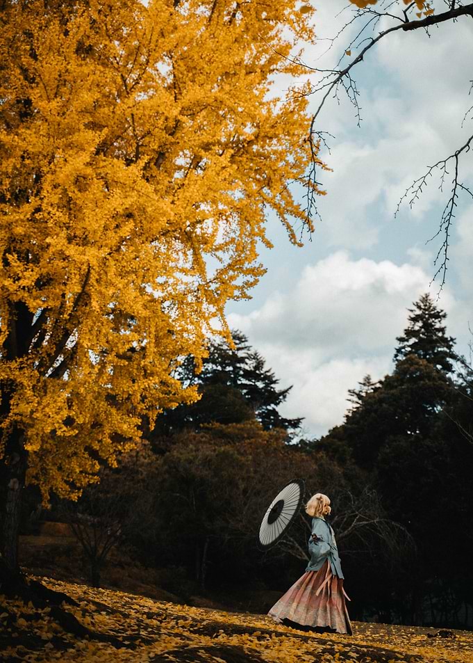 Japanese Woman with Umbrella in Autumn Landscape