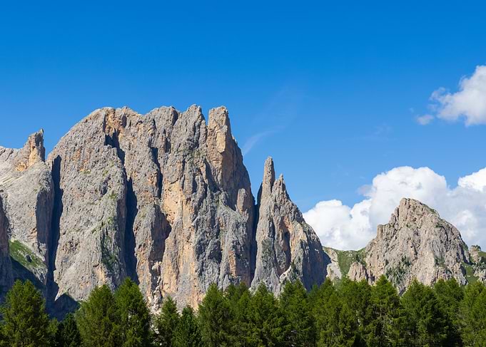 Mountain Peaks and Forest Landscape
