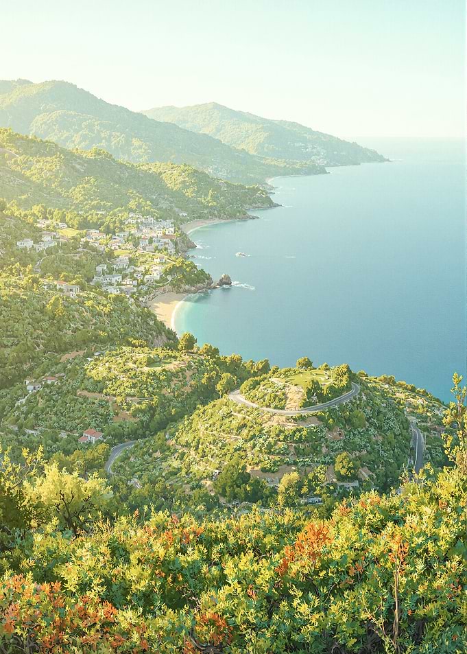 Coastal Mountain Village Landscape
