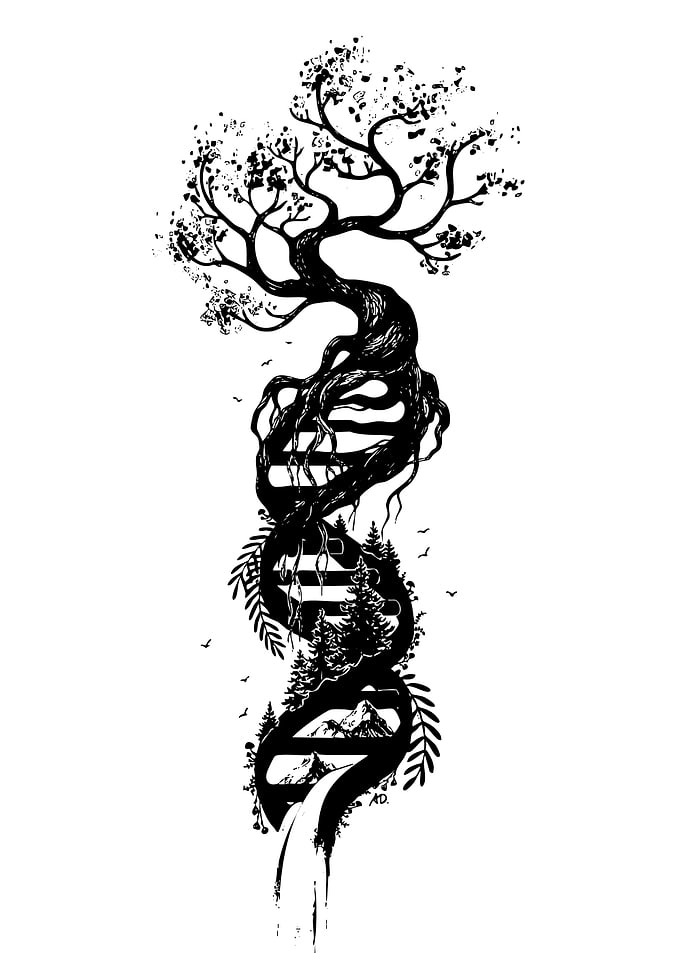 DNA Tree of Life Illustration
