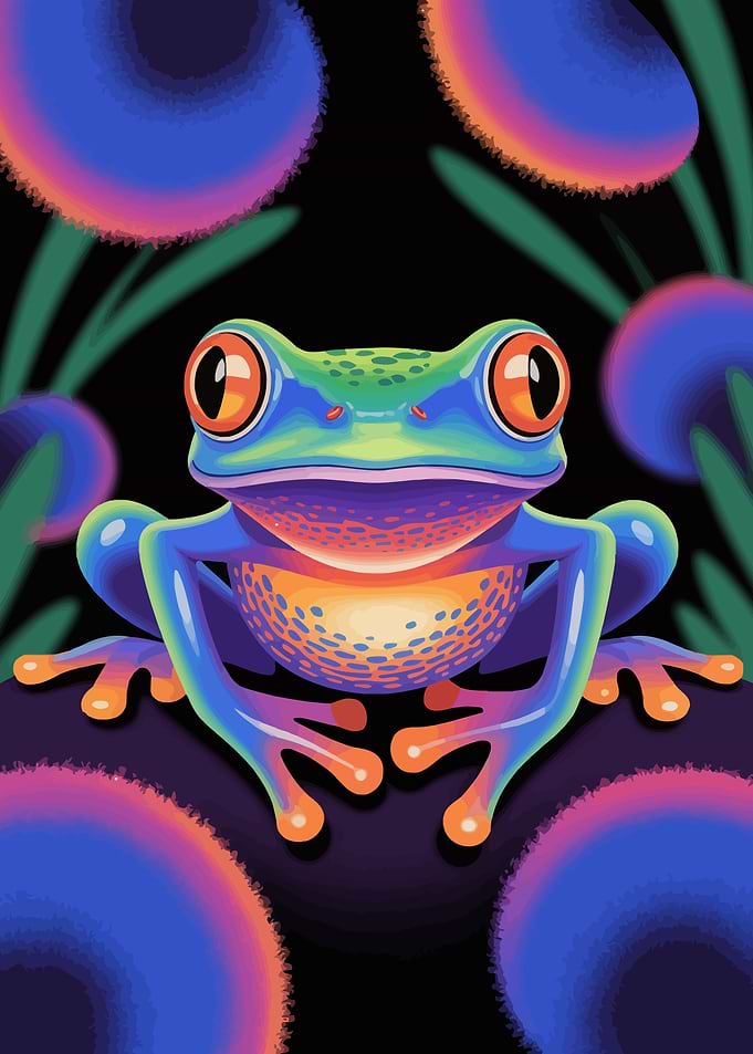 Colorful Frog Illustration on Black Background