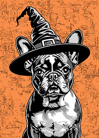 Halloween French bulldog