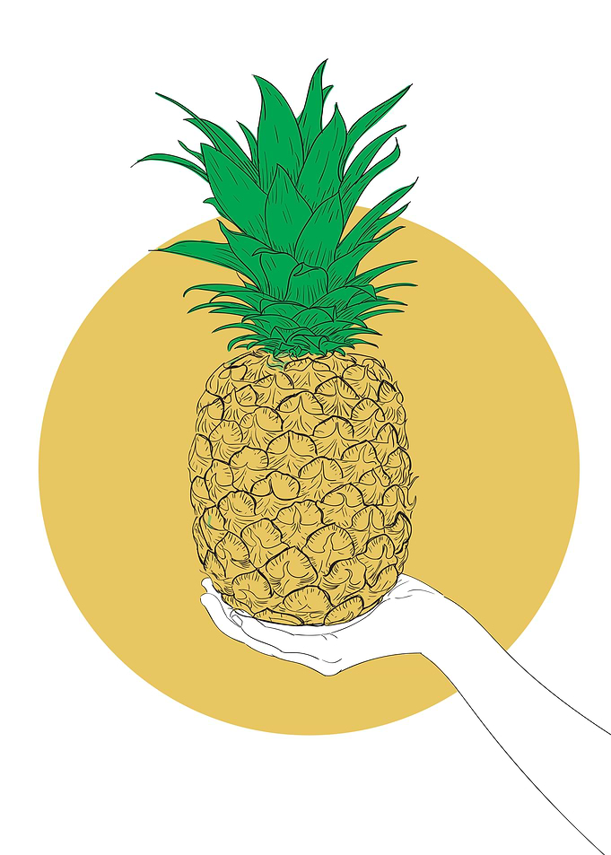 Pineapple in Hand Illustration