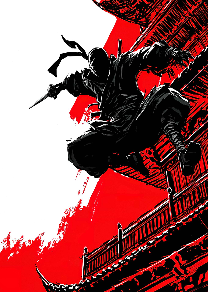 Ninja in Action