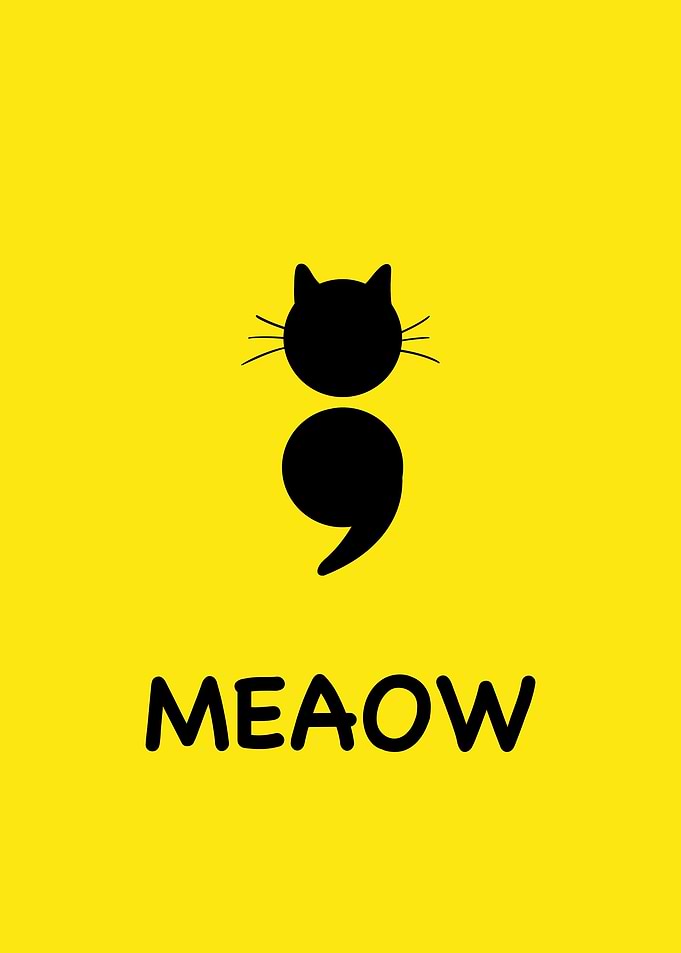 Minimalist Cat Semicolon Meaow