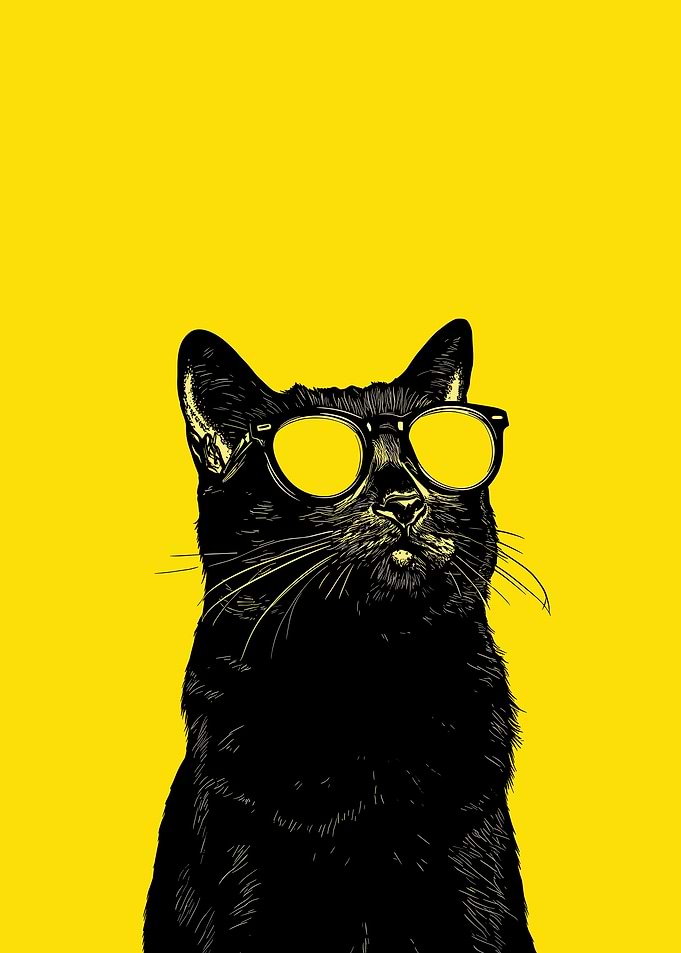 Cool Cat with Glasses on Yellow