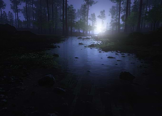 Night Forest Stream