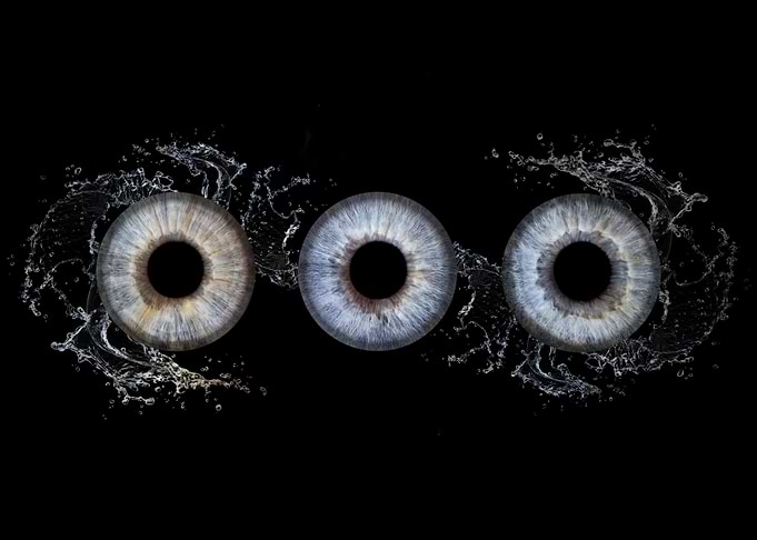 Three Irises with Water Splashes