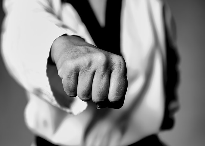 Monochrome Taekwondo Punch