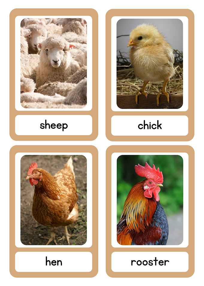 Farm Animal Flashcards
