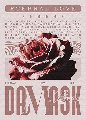 Eternal Love Damask Rose Graphic