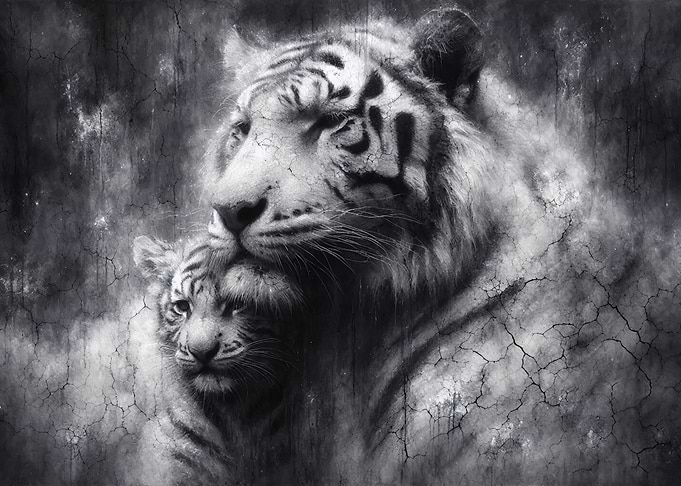 Tiger and Cub Black and White