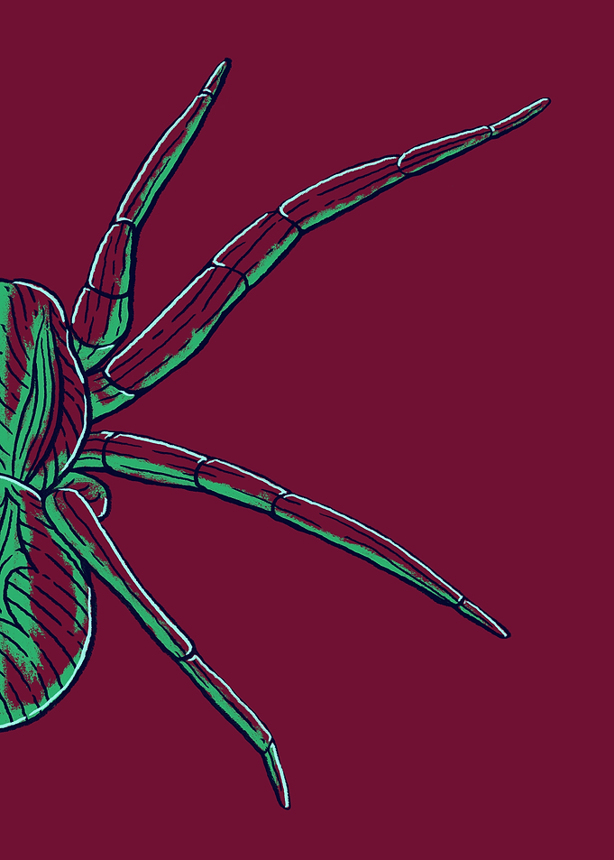 The Green Spider
