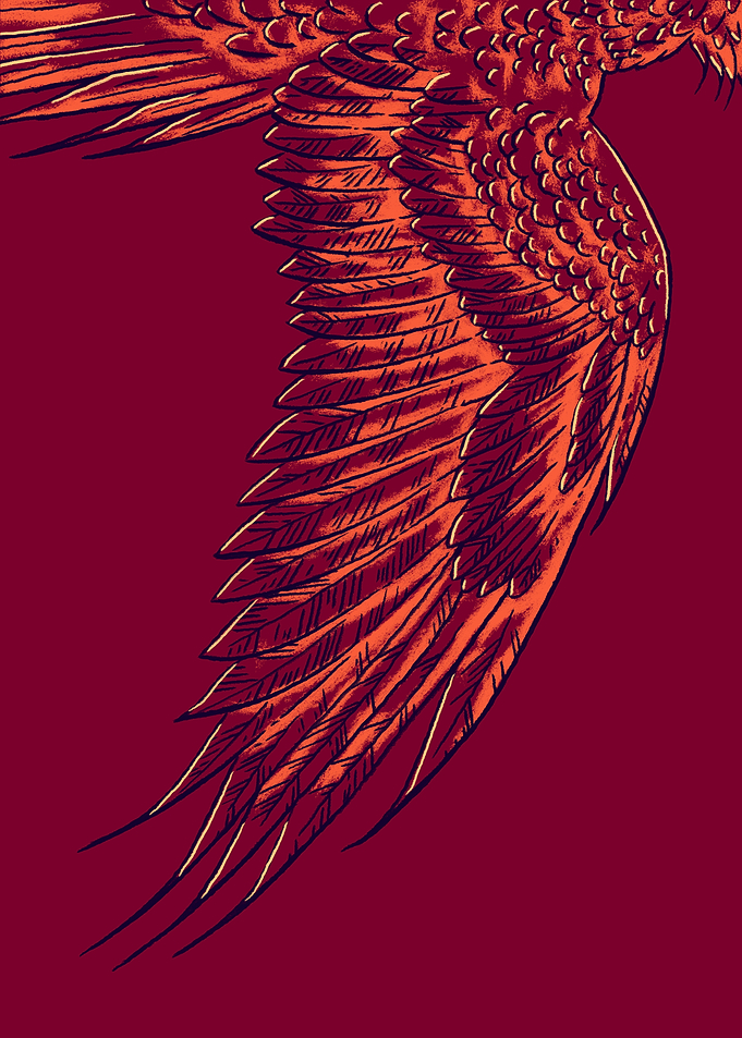 The Wing of a Phoenix on Red Background