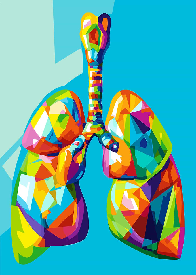 Colorful Lungs Pop Art Illustration