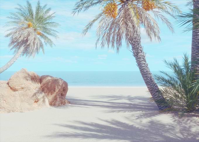 Tropical beach