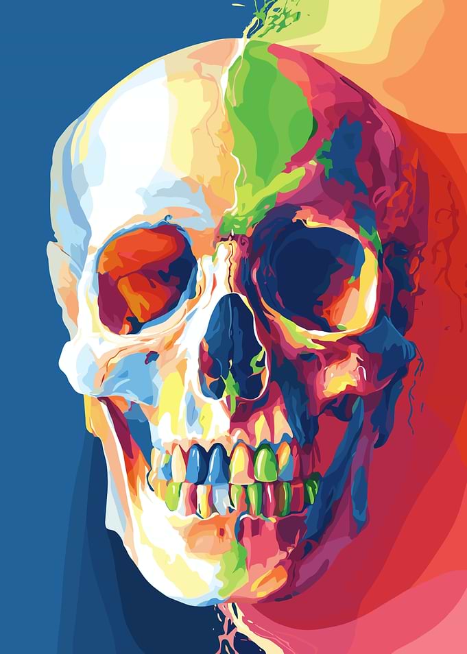 Colorful Skull Illustration