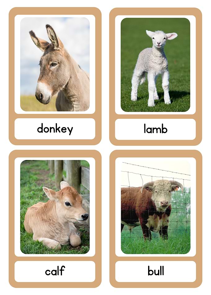 Farm Animals Flashcards Set