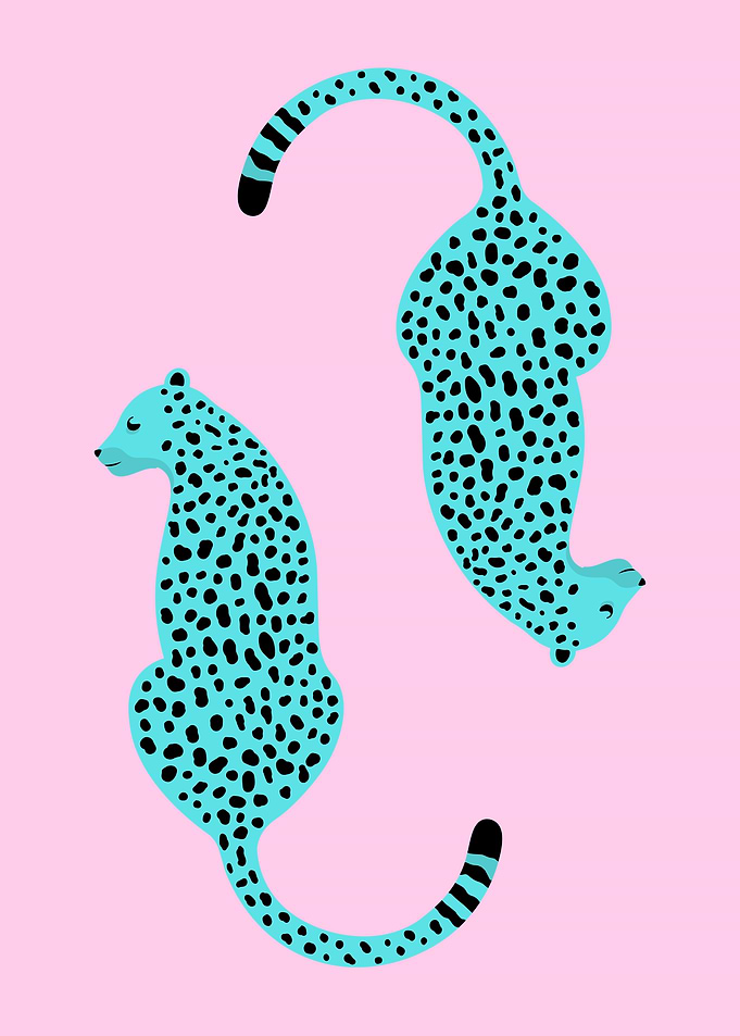 Two Blue Leopards on Pink Background