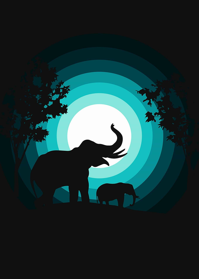 Elephant Silhouette with Teal Background