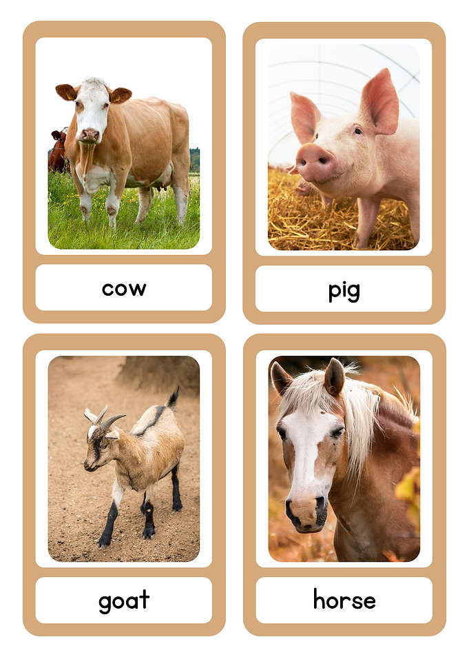 Farm Animals Flashcards