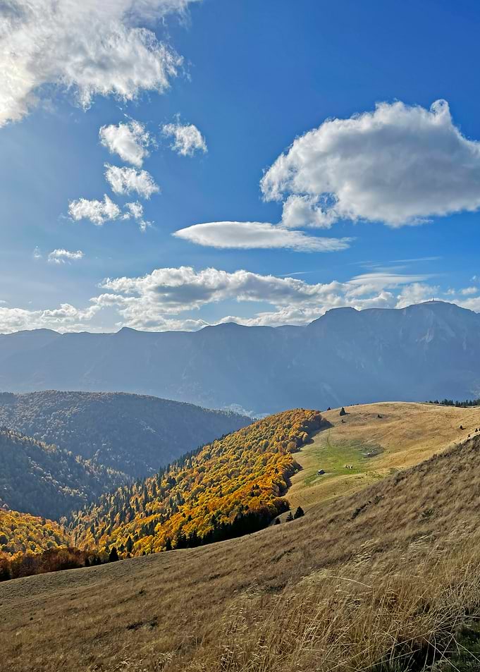 Autumn Mountain Landscape