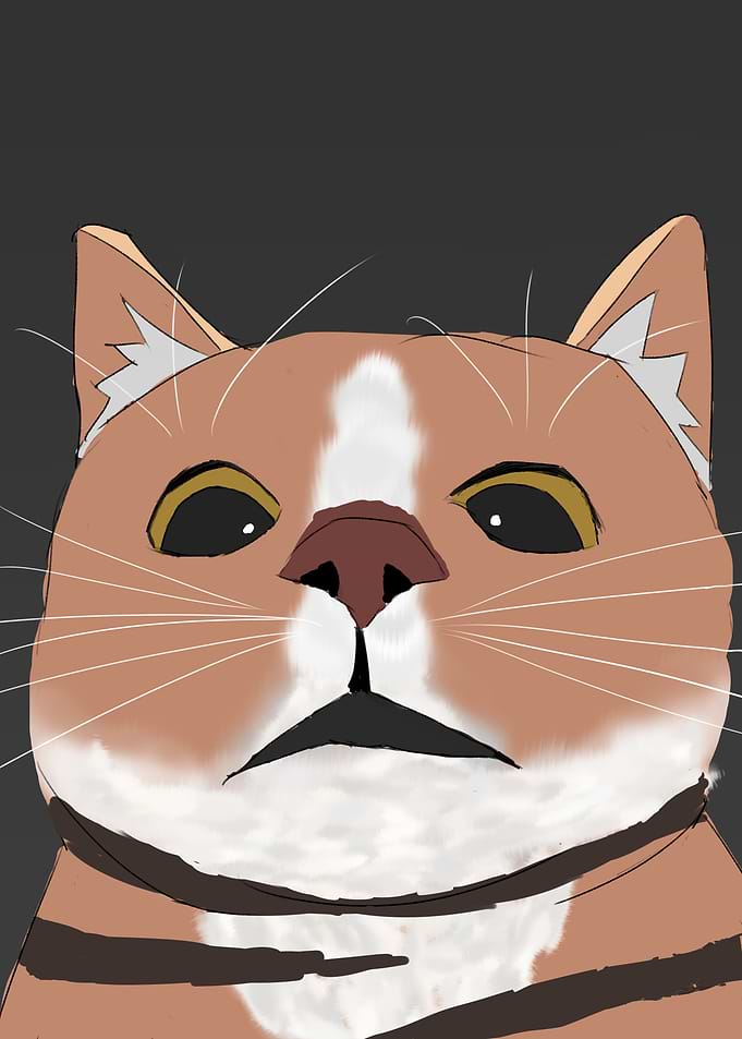 Cartoon Orange Tabby Cat Close-Up