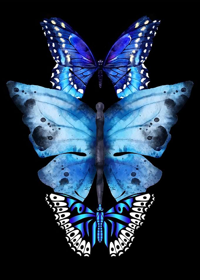 Three Blue Butterflies on Black Background
