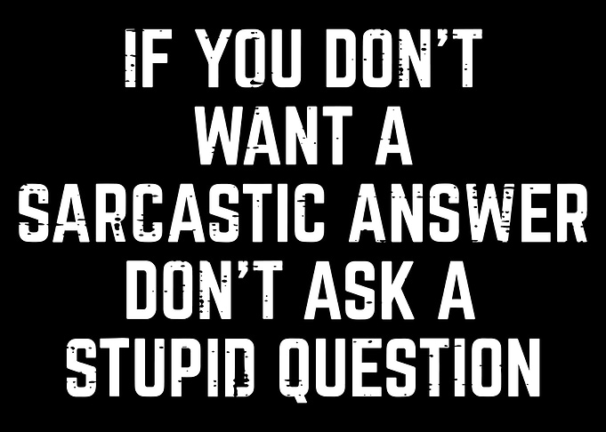 Sarcastic Answer, Stupid Question Text Art