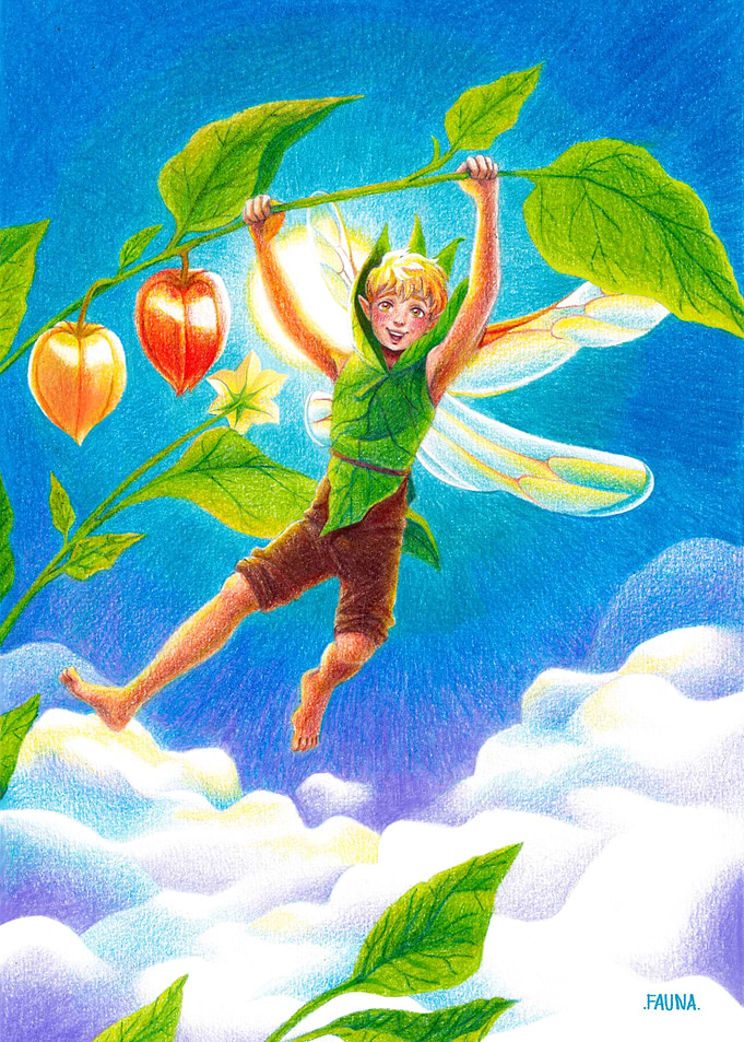 Aguaymanto Fairy
