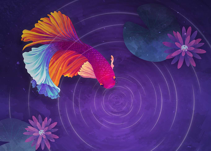 colorful betta fish in lily pond