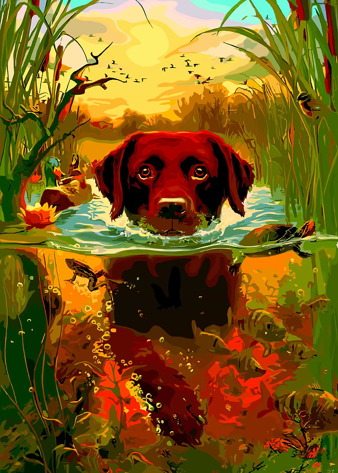 Dog Swimming in Pond Painting