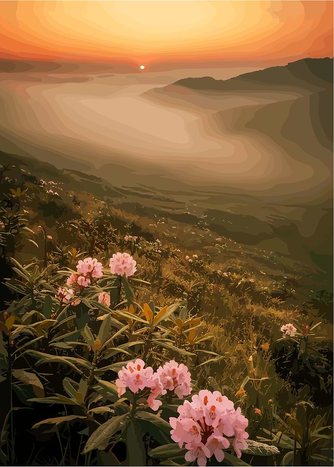 Blossoms at Dawn