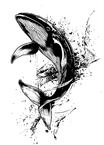 Whale Illustration in Black and White