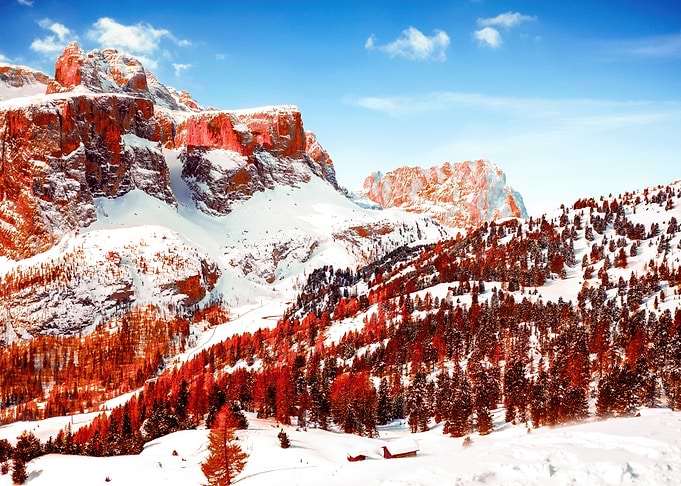 Snowy Mountain Landscape with Red Trees