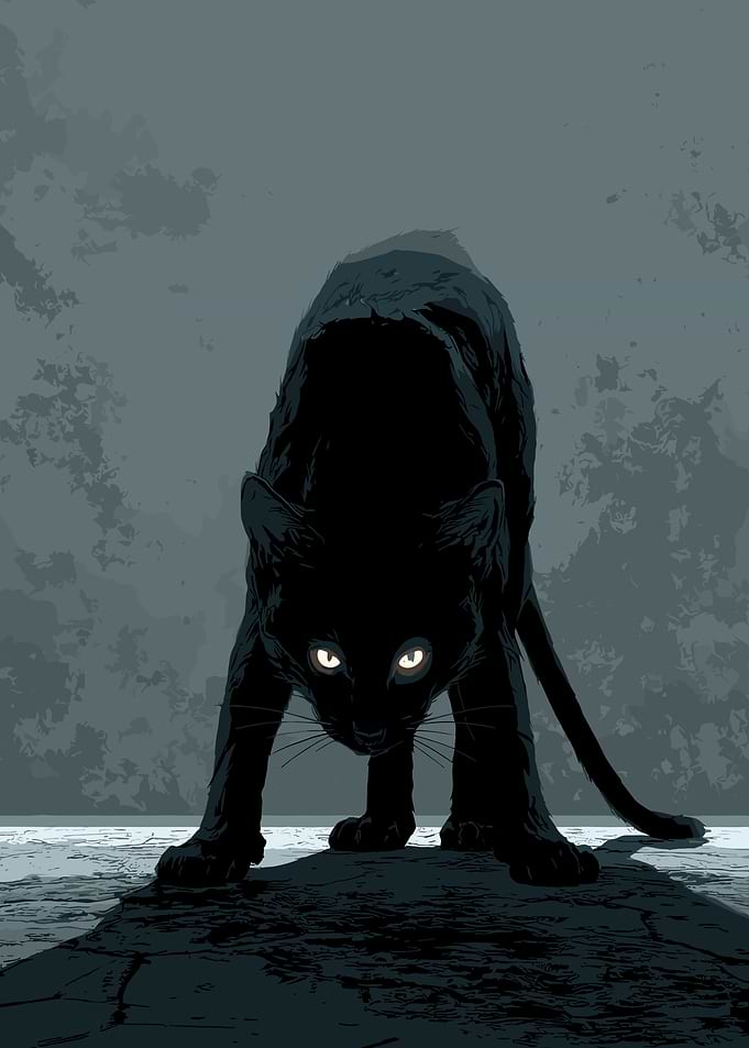 Black Panther Ready to Pounce
