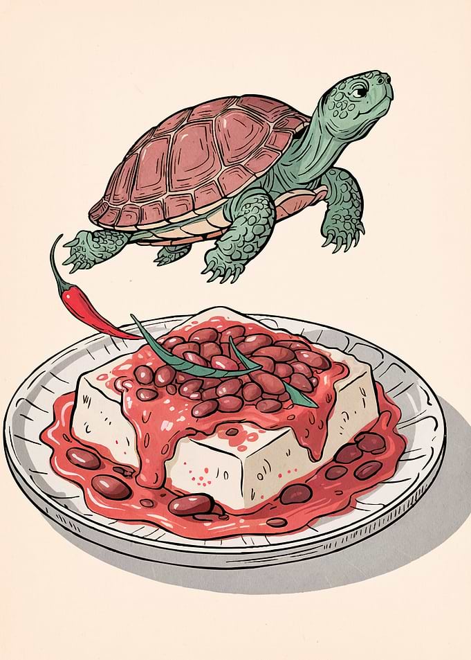 Turtle Above Tofu Beans