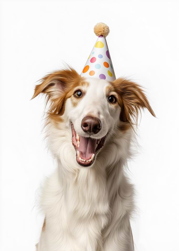 Happy Borzoi dog with Party Hat