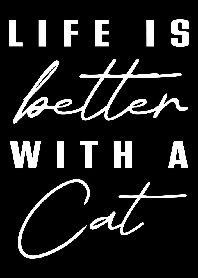 Life is better with a cat