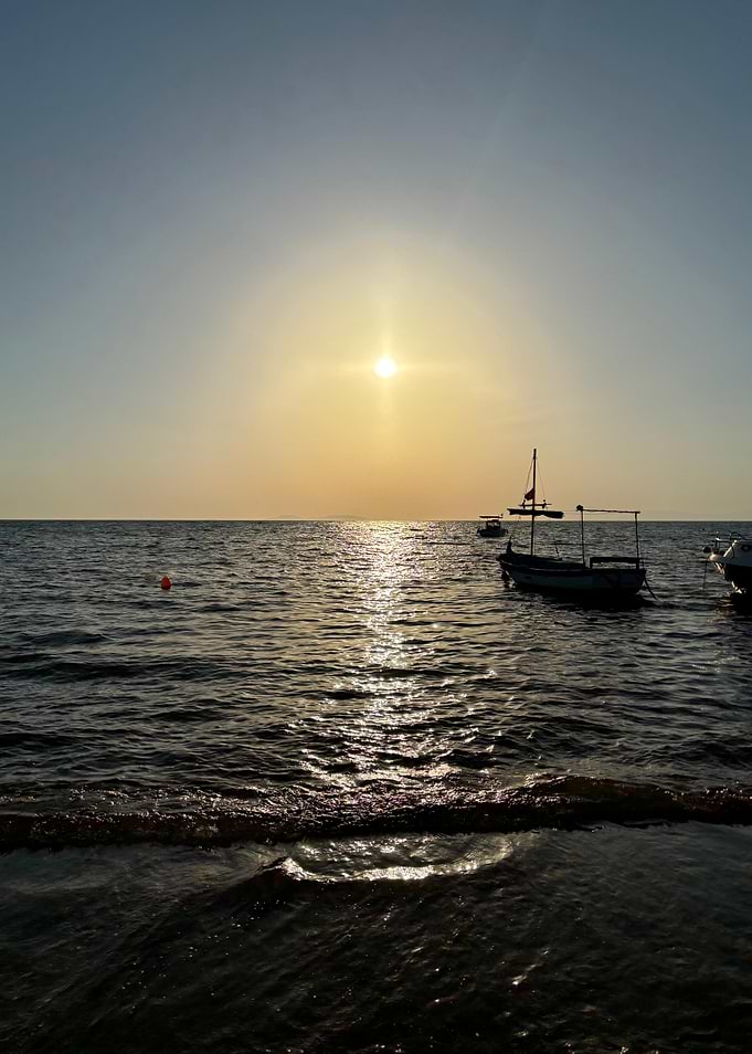 Golden Tranquility