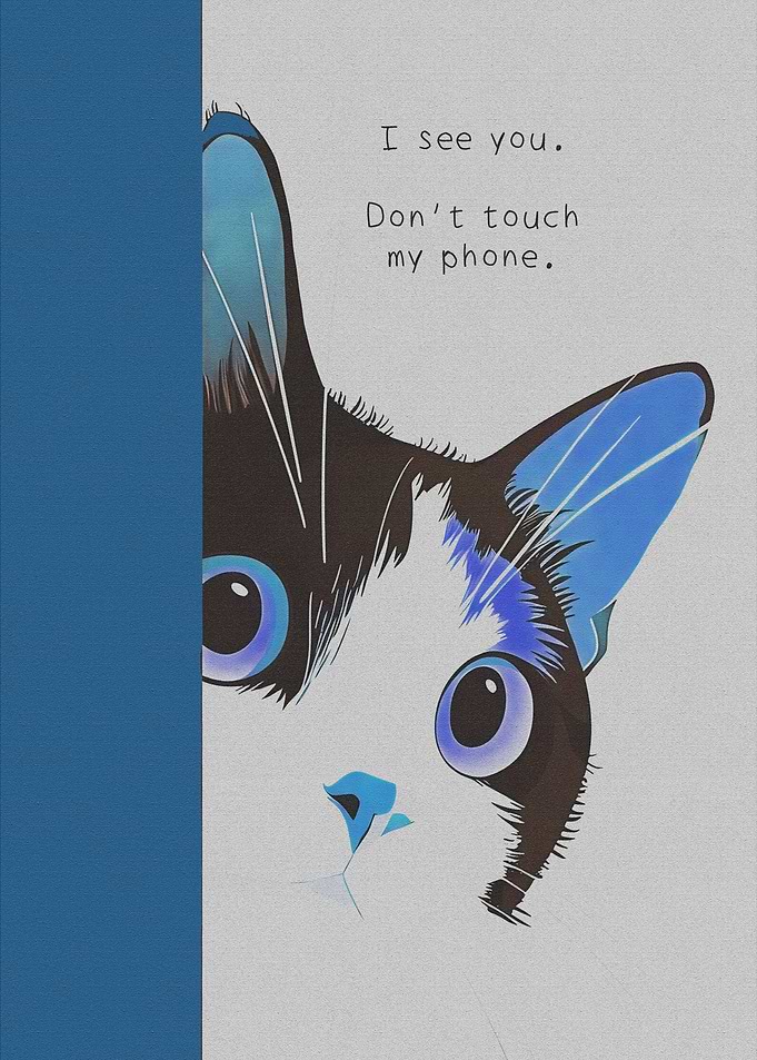 Cat with a warning message