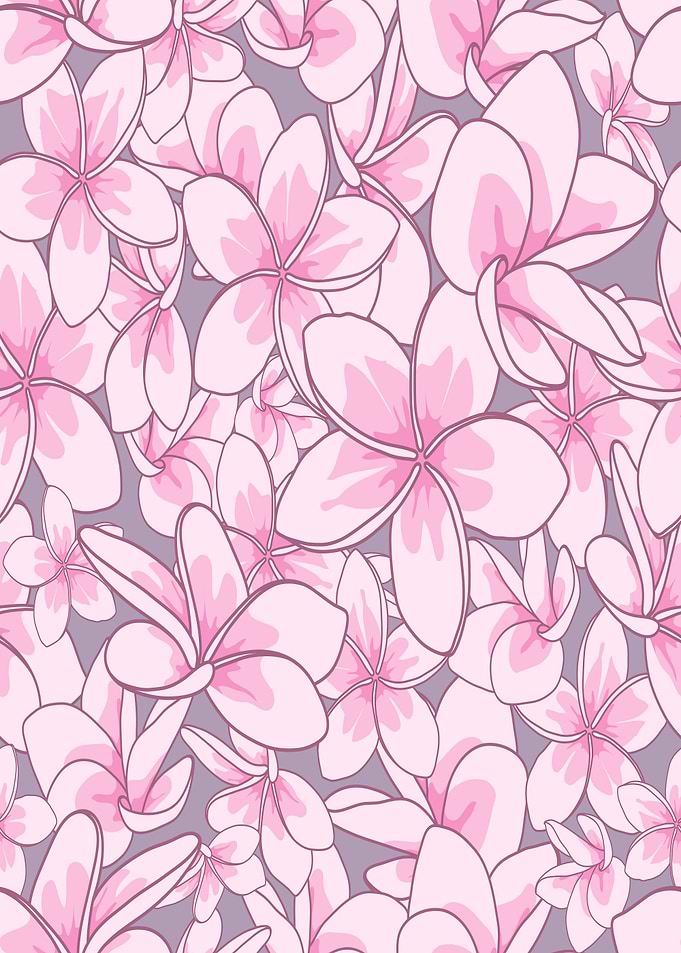 Pink Plumeria Flower Pattern