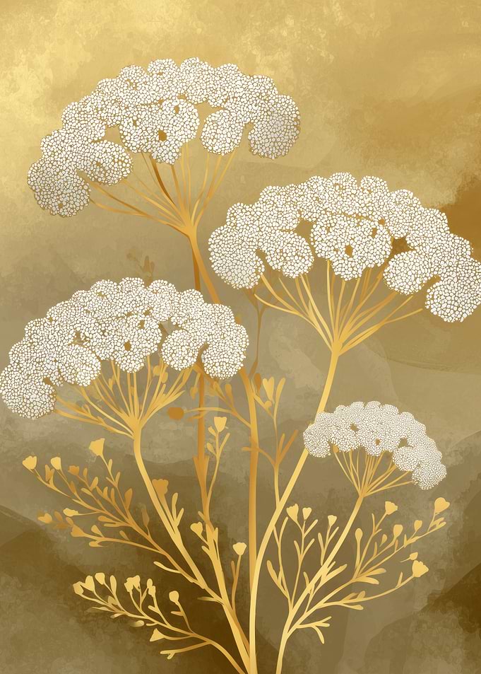 Golden Queen Annes Lace