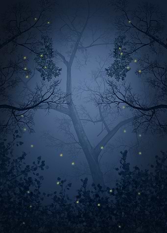Mystical Forest at Night with Fireflies